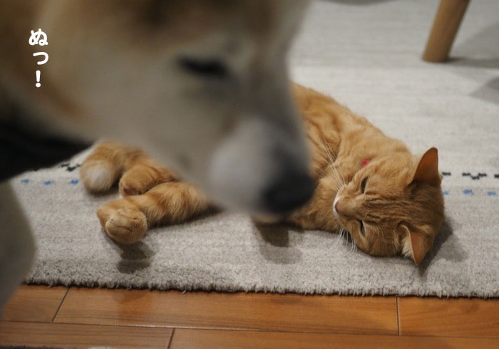 25日夕ブログ３