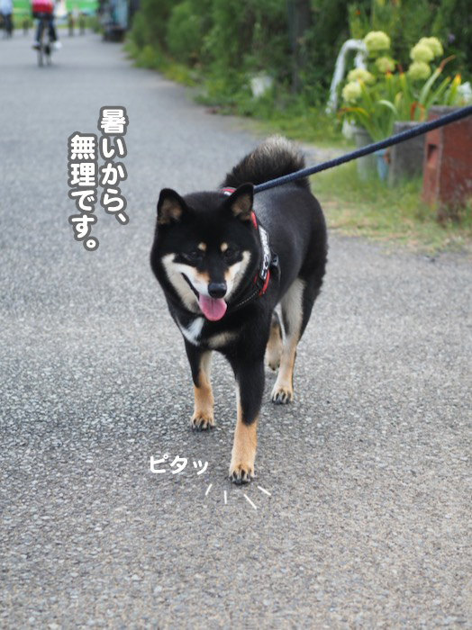 26日ブログ７
