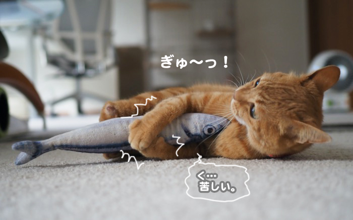 12日夕ブログ５