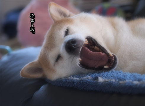 29日ブログ13.jpg