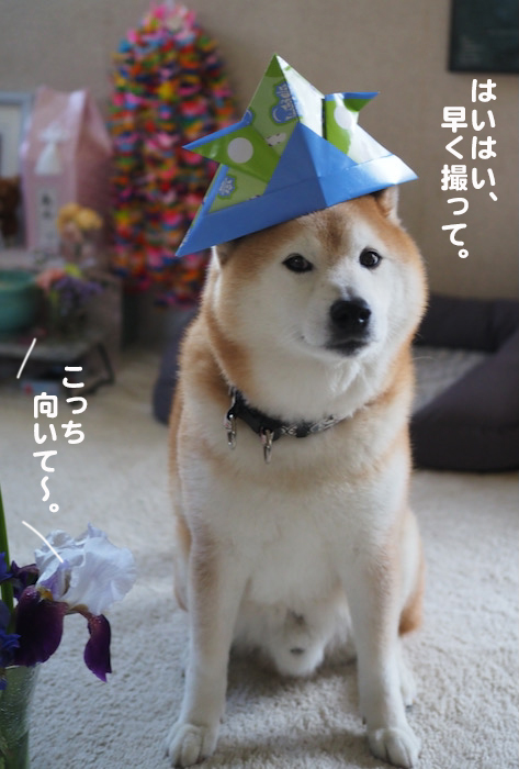 5日ブログ３