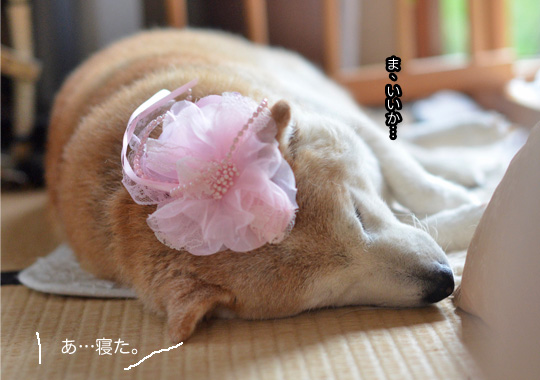 23日ブログ6.jpg
