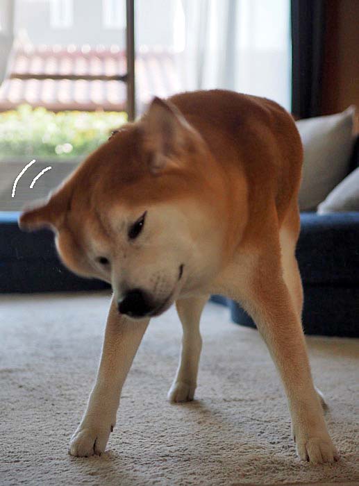 8日夕ブログ２