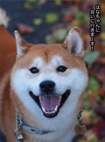 21日ブログ6.jpg
