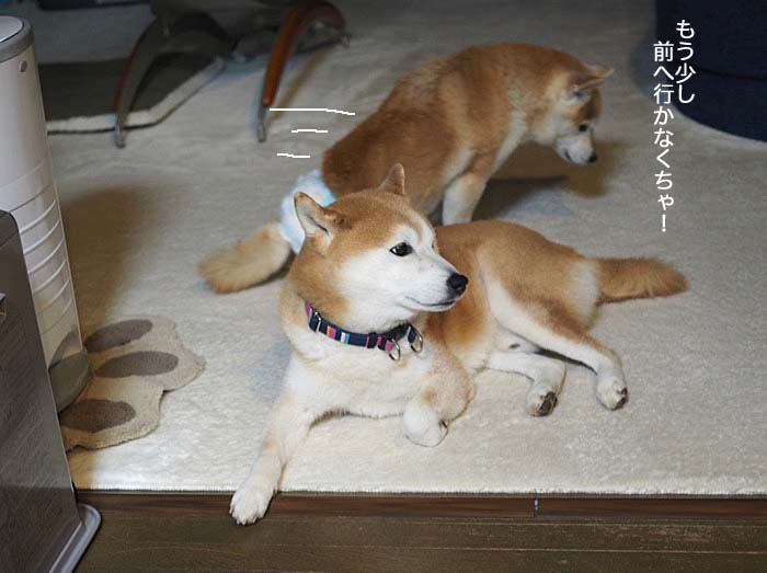 23日ブログ５