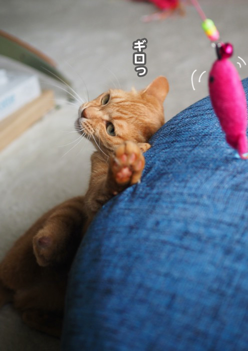 25日夕ブログ１１
