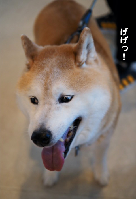 16日夕ブログ４