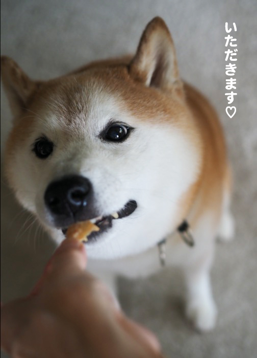 25日ブログ３
