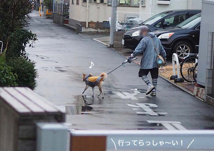 16日夜ブログ７