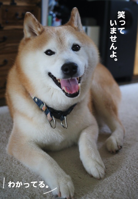 28日夕ブログ４