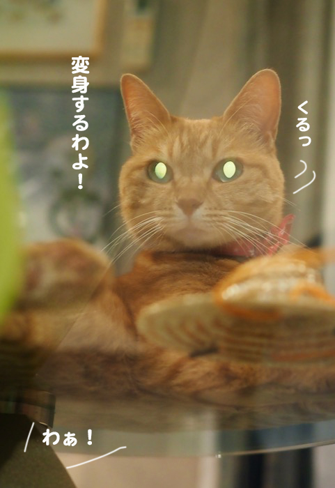 6日夕ブログ５