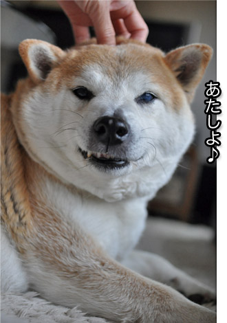 18日ブログ１４.jpg