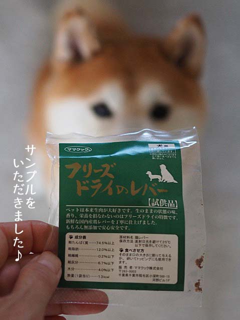 7日ブログ6
