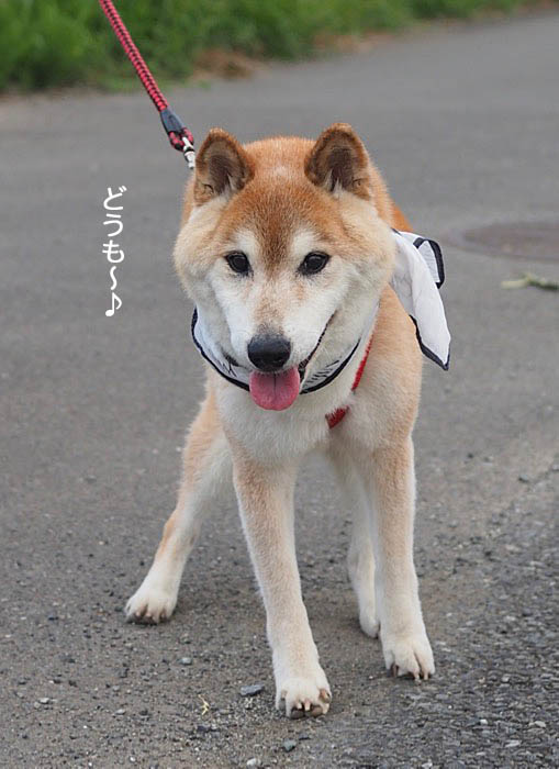 14日ブログ４