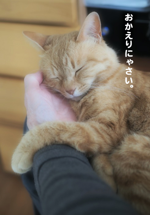 11日夕ブログ5