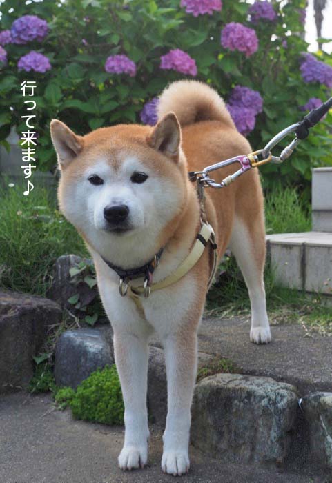 8日夜ブログ７