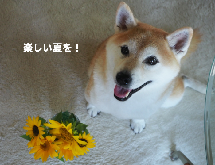 8日ブログ７