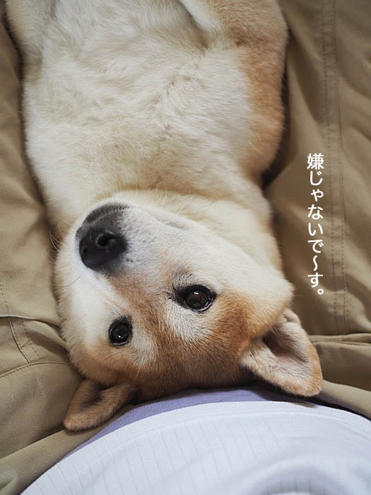 30日ブログ１０