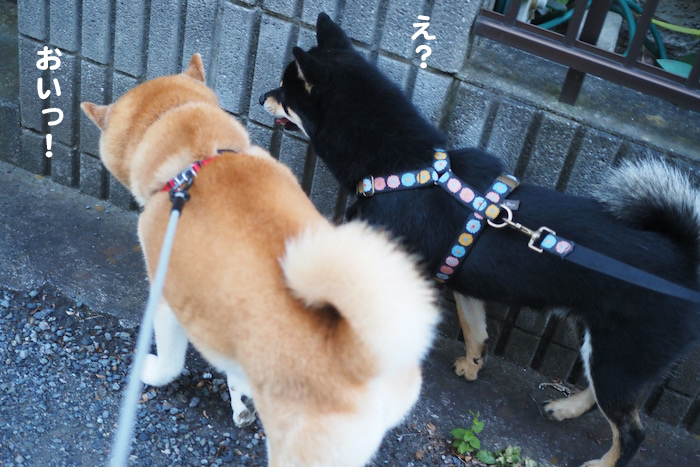 12日夜ブログ６