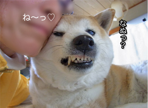 4日ブログ12.jpg