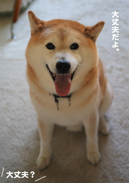 3日夕ブログ６