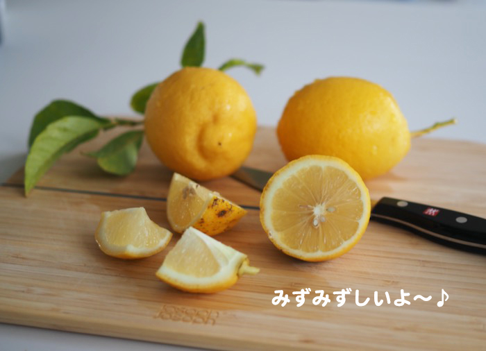 7日夕ブログ７