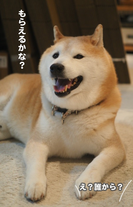 9日夕ブログ３