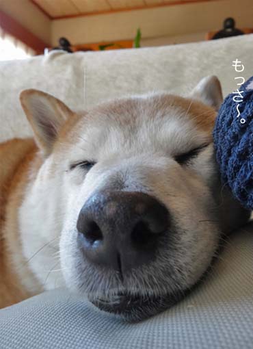 14日ブログ３.jpg