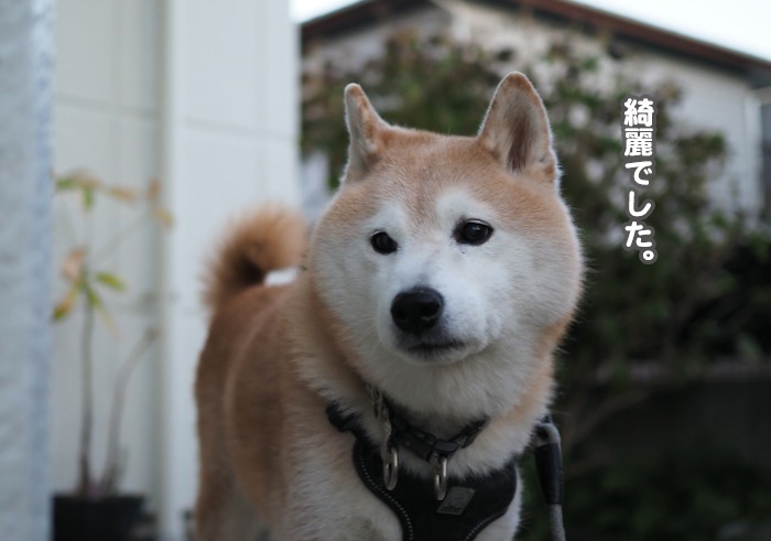 14日夕ブログ５