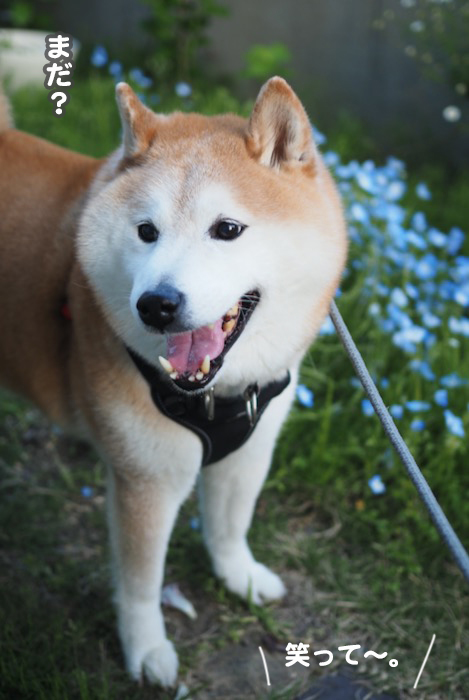 12日夕ブログ３