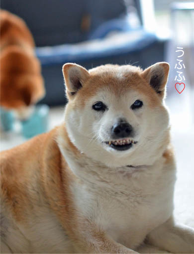 20日ブログ7.jpg