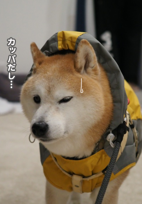 3日夕ブログ５