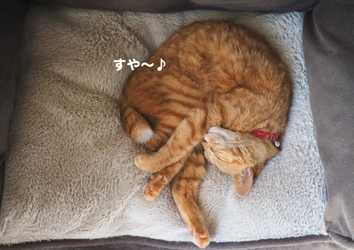 14日夕ブログ４