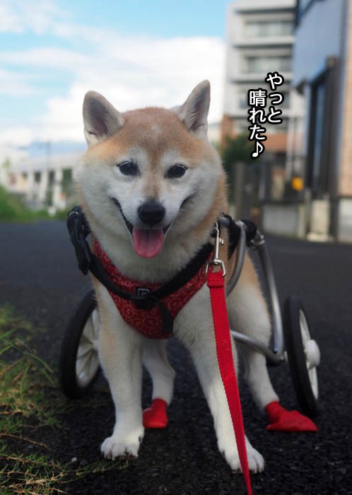 18日ブログ２
