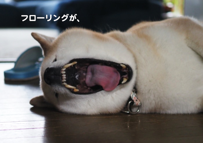 5日ブログ２