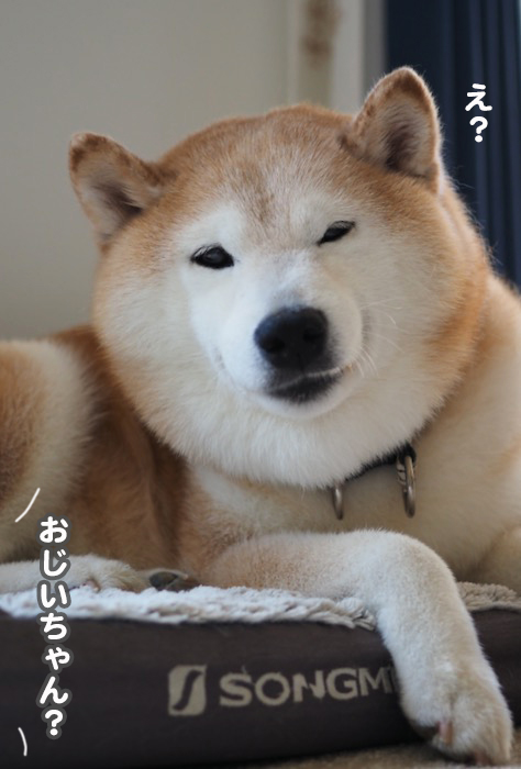 13日夕ブログ６
