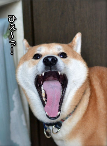3日ブログ2.jpg