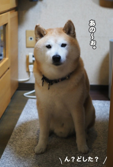 23日夕ブログ２