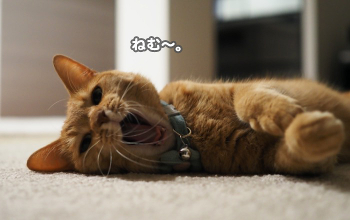 18日ブログ３