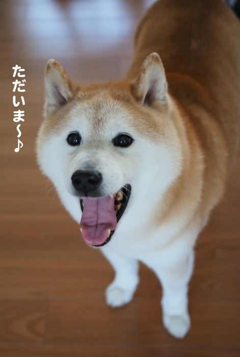 10日夕ブログ８