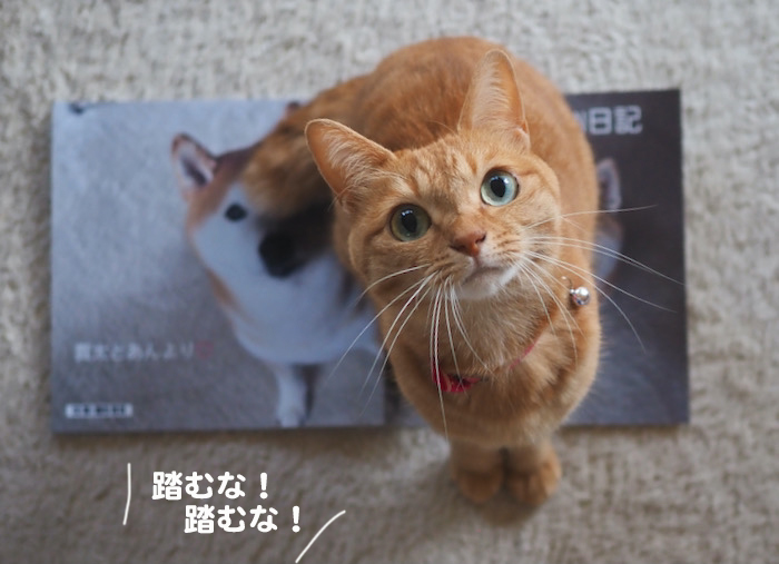 1日夕ブログ４
