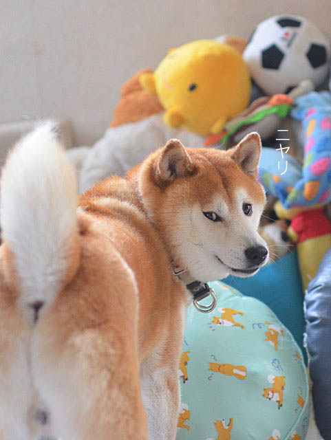 21日ブログ10