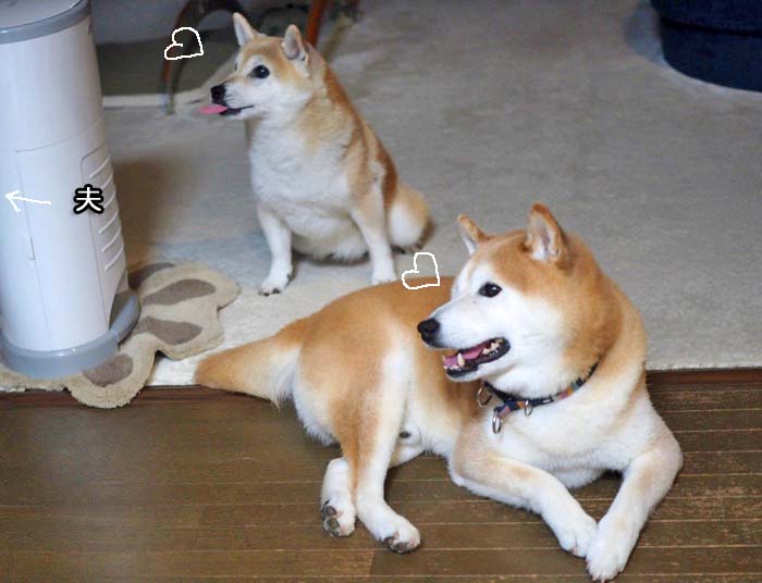 9日夕ブログ４