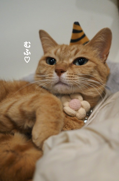 2日ブログ９