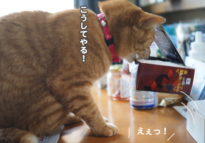 30日ブログ８