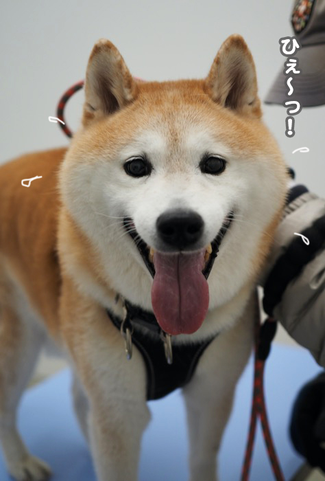 21日夕ブログ１２