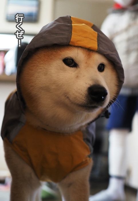 18日夜ブログ５