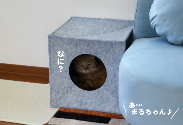 ３日夕ブログ８