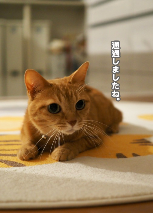 22日夕ブログ５