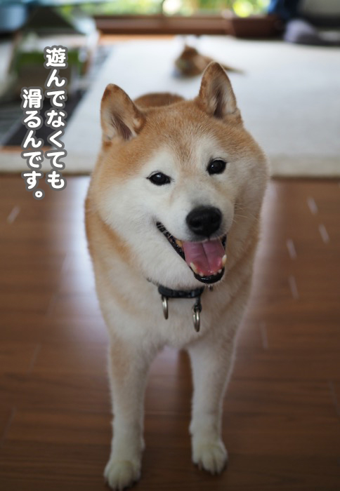 23日夕ブログ６